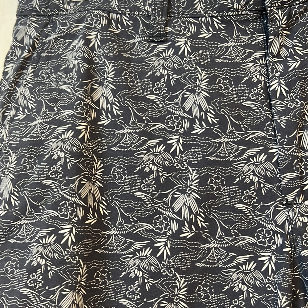 Goodthreads Stretchable shorts - Picture 2 of 6